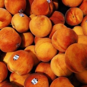 Meet your Posher, Melody